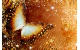 Fotobehang Vlinder | Goud | 416x254