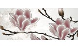 Fotobehang Bloemen, Magnolia | Grijs | 250x104cm