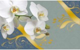 Fotobehang Bloemen, Orchidee | Wit | 312x219cm