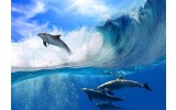 Fotobehang Dolfijnen | Blauw | 416x254