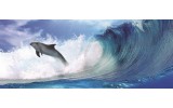 Fotobehang Dolfijnen | Blauw | 250x104cm