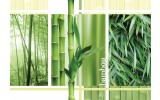 Fotobehang Papier Natuur | Groen | 254x184cm