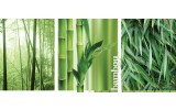 Fotobehang Natuur | Groen | 250x104cm