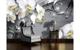 Fotobehang Bloemen, Orchidee | Zilver | 208x146cm