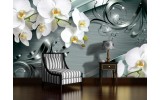 Fotobehang Bloemen, Orchidee | Wit | 208x146cm