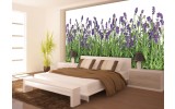 Fotobehang Natuur, Lavendel | Groen | 104x70,5cm