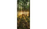 Deursticker Muursticker Bos, Natuur | Groen | 91x211cm