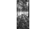 Deursticker Muursticker Bos, Natuur | Zwart, Wit | 91x211cm