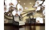 Fotobehang Orchideeën, Bloemen | Wit |