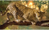Fotobehang Jaguar, Dieren | Geel | 208x146cm