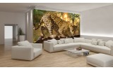 Fotobehang Papier Jaguar, Dieren | Geel | 254x184cm
