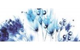 Fotobehang Bloemen | Wit, Blauw | 250x104cm