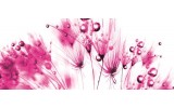 Fotobehang Bloemen | Roze, Wit | 250x104cm