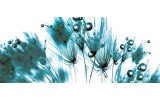 Fotobehang Bloemen | Wit, Turquoise | 250x104cm