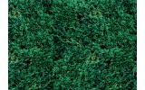 Fotobehang Papier Natuur | Groen | 368x254cm