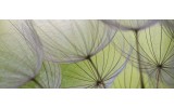 Fotobehang Bloemen | Groen, Grijs | 250x104cm
