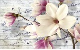 Fotobehang Vlies | Bloemen, Magnolia | Crème | 368x254cm (bxh)