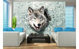 Fotobehang Wolf, Muur | Grijs, Groen | 152,5x104cm
