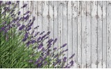Fotobehang Vlies | Hout, Lavendel | Grijs | 368x254cm (bxh)