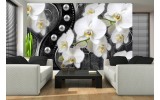 Fotobehang Orchidee, Bloemen | Wit, Zwart | 312x219cm
