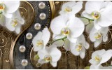 Fotobehang Vlies | Orchidee, Bloemen | Wit, Goud | 368x254cm (bxh)