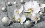 Fotobehang Bloem, Orchidee | Grijs | 312x219cm