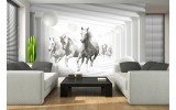 Fotobehang Paarden, Modern | Wit | 312x219cm