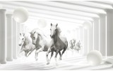 Fotobehang Vlies | Paarden, Modern | Wit | 368x254cm (bxh)
