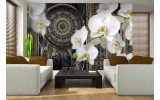 Fotobehang Klassiek, Orchidee | Wit | 152,5x104cm
