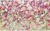 Fotobehang Papier Bloemen | Roze, Crème | 368x254cm