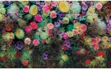 Fotobehang Bloemen, Klassiek | Groen | 152,5x104cm