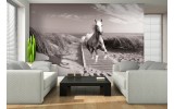 Fotobehang Paard, Strand | Grijs | 104x70,5cm