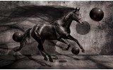 Fotobehang Papier Paard, Design | Zwart | 254x184cm
