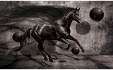 Fotobehang Vlies | Paard, Design | Zwart | 368x254cm (bxh)