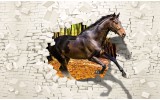 Fotobehang Paard, Abstract | Bruin | 312x219cm