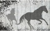 Fotobehang Papier Paarden, Modern | Grijs | 254x184cm