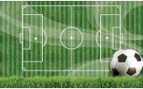 Fotobehang Papier Voetbal | Groen, Wit | 254x184cm