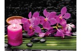 Fotobehang Bloemen, Orchidee | Paars | 208x146cm
