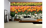 Fotobehang Papier Tulpen, Bloemen | Oranje | 368x254cm