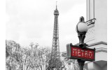 Fotobehang Vlies | Parijs | Rood, Grijs | 368x254cm (bxh)
