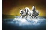 Fotobehang Vlies | Paarden | Blauw, Wit | 368x254cm (bxh)
