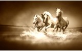 Fotobehang Paarden | Sepia | 104x70,5cm