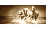 Fotobehang Paarden | Sepia | 250x104cm
