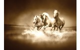 Fotobehang Vlies | Paarden | Sepia | 368x254cm (bxh)