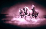 Fotobehang Paarden | Paars | 416x254