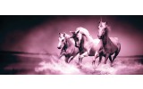Fotobehang Paarden | Paars | 250x104cm