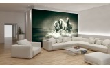 Fotobehang Paarden | Grijs, Groen | 104x70,5cm