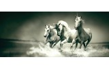 Fotobehang Paarden | Grijs, Groen | 250x104cm