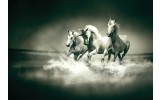 Fotobehang Vlies | Paarden | Grijs, Groen | 368x254cm (bxh)