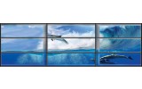 Fotobehang Vlies Dolfijnen | Blauw | GROOT 624x219cm